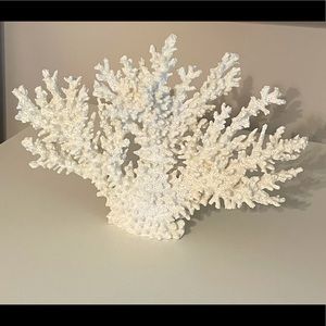 Pottery Barn Decorative Coral